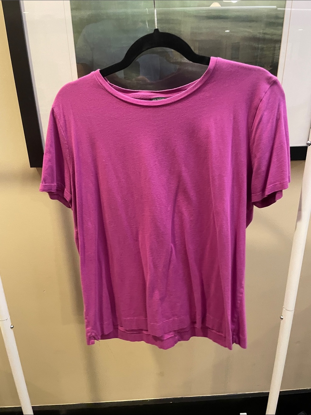 Ann Taylor. XXL. Women's Short Sleeve Crew Neck Top in Magenta